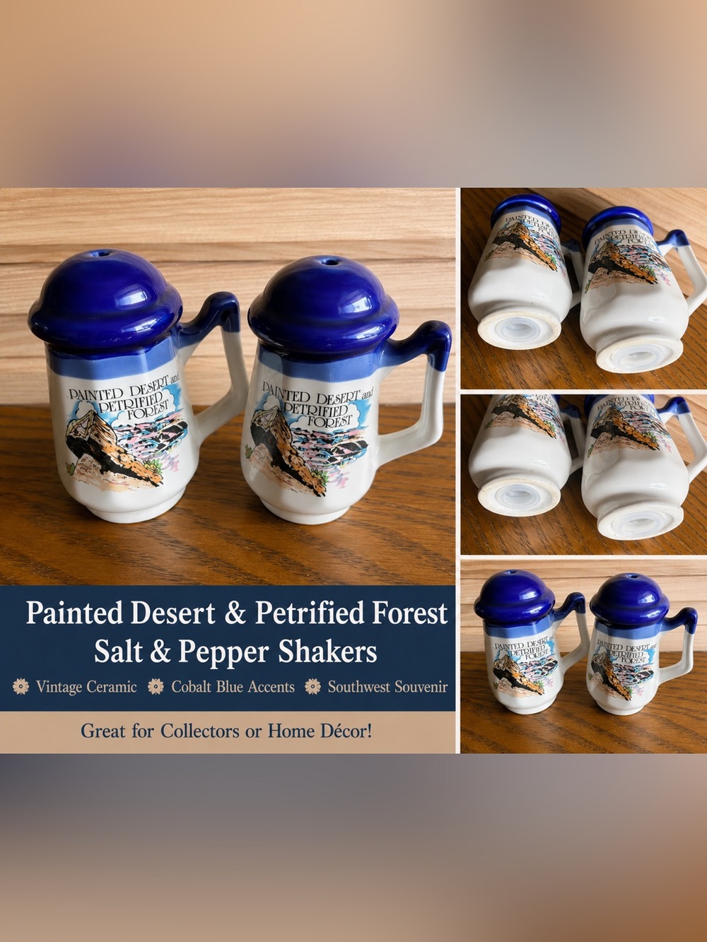Painted Desert & Petrified Forest Salt & Pepper Shakers – Vintage Southwest